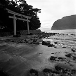 No.9 静岡県沼津市