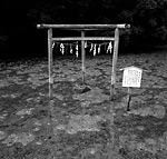 No.20 長崎県対馬