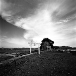 No.38 長崎県対馬