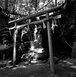No.39 奈良県青葉滝