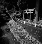 No.46 静岡県裾野市